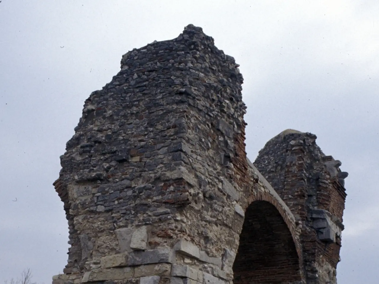 Locating Acorns in Grounded 2: A Guide