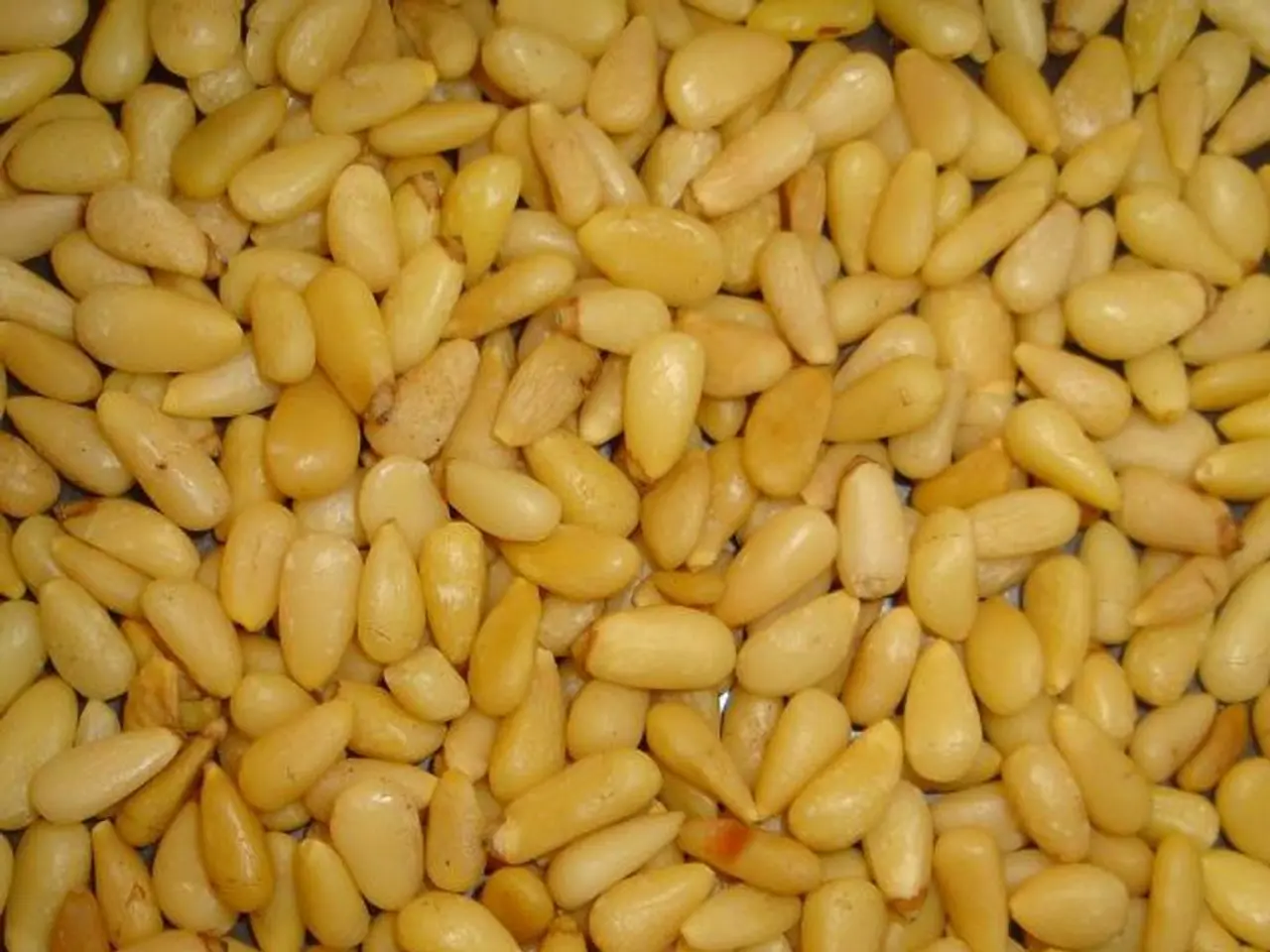 Corn Experiences Losses on Friday, Marking the End of the Week Negatively