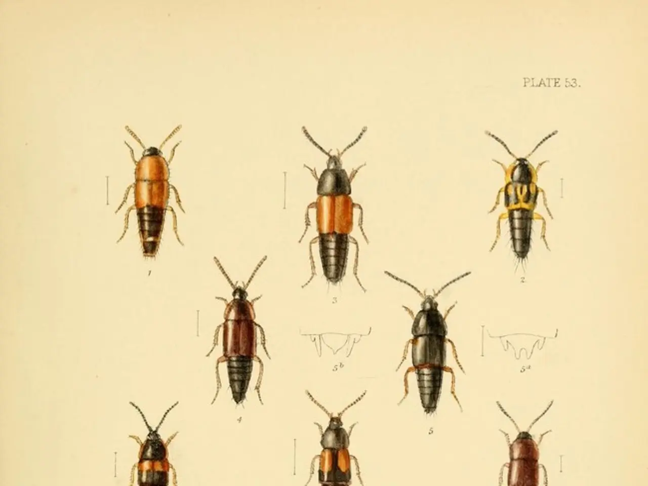 HASEPOST seeks an individual for a testing role in their latest online venture