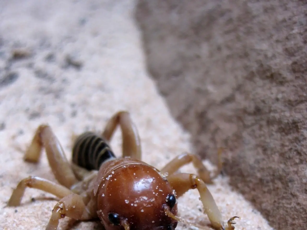 Thousands of websites are at risk due to a vulnerability in HubSpot's Jinjava Engine, making them...