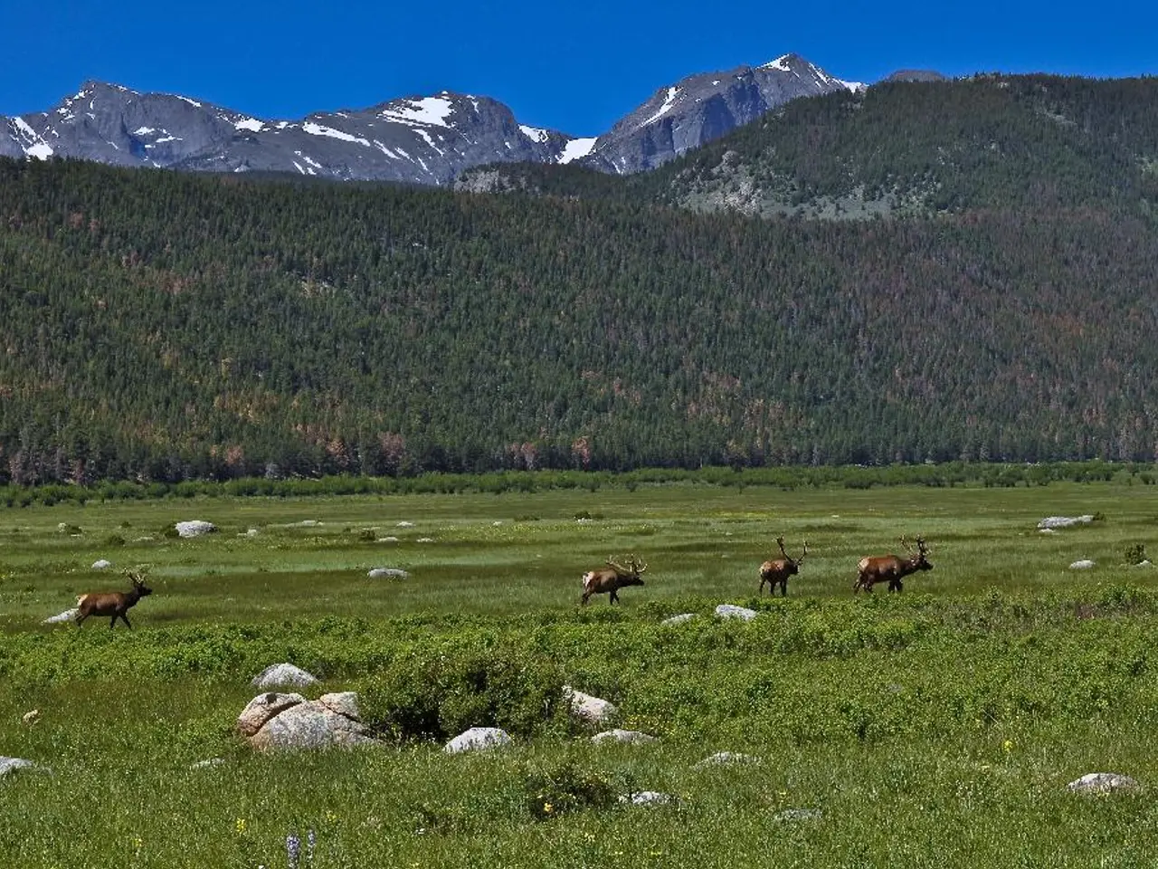 Mars rover discovers signs of past microbial life