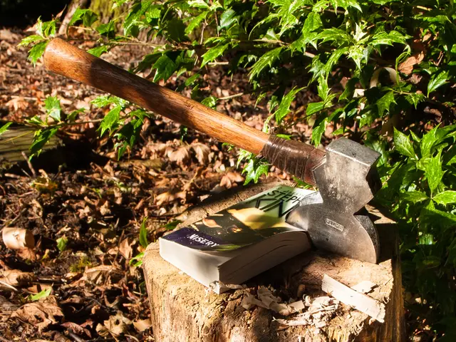 A Step-by-Step Guide to Crafting Wood in Little Alchemy 1: A Detailed Walkthrough