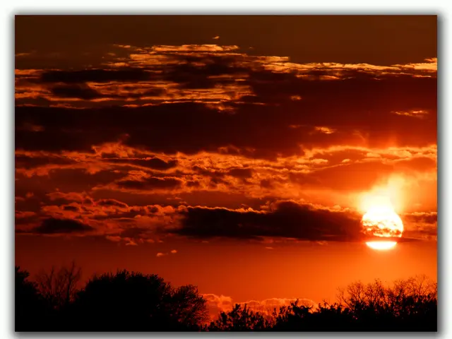Perpetual Daylight: Consequences of a Sun That Doesn't Set
