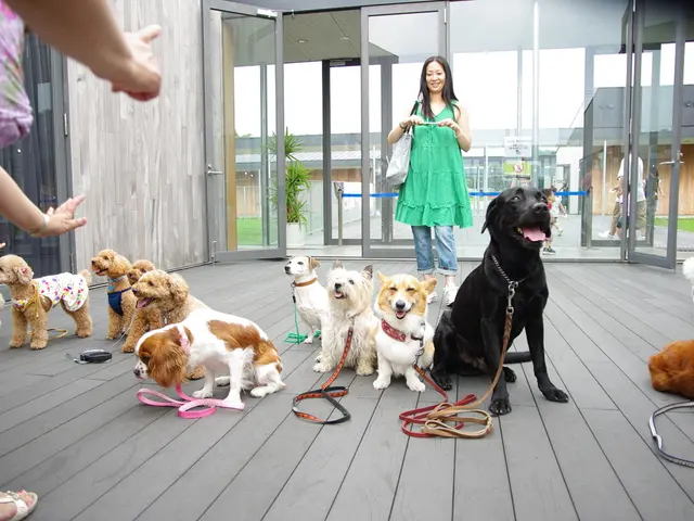 Weekly Gadget Highlight: Mobile Disco with Quadruped Base