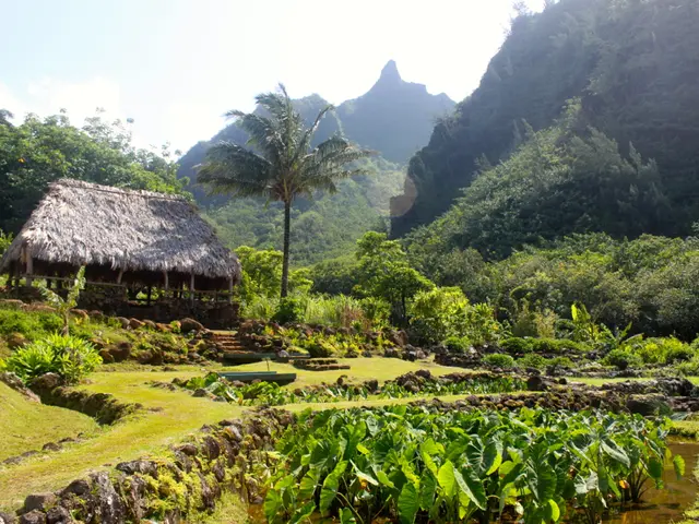 Lower Back Pain in the Left Side: Root Causes and available Remedies