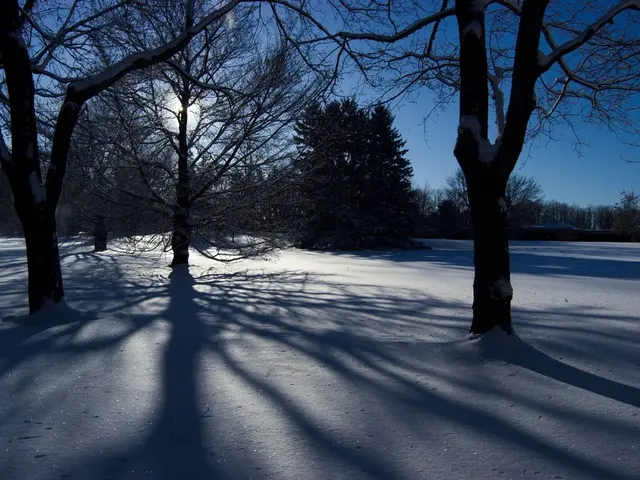 Speedup cold recovery: Top 4 remedies to consider