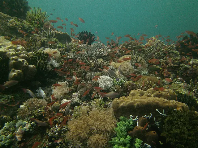 Unseen Navigation: Understanding Earth's Magnetic Field's Influence on Wildlife and Ocean-Dwelling...