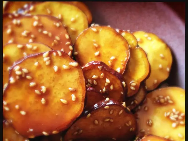 Food Theft Among Cats Solved: Tested Microchip Feeder Offers a Discount of $93 Today