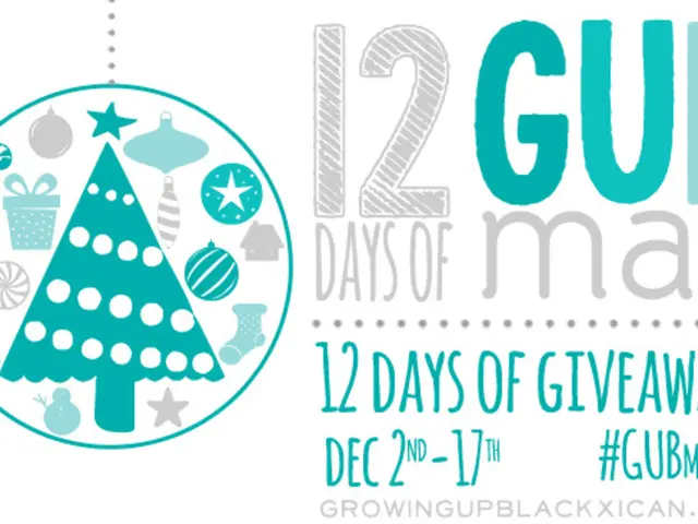 Instagram Photographer's Legal Disputes Over Copyright Infringement