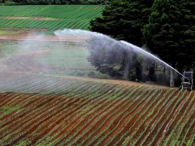Digital collaboration in Zimbabwe links rural farmers to digital service suppliers via FAO