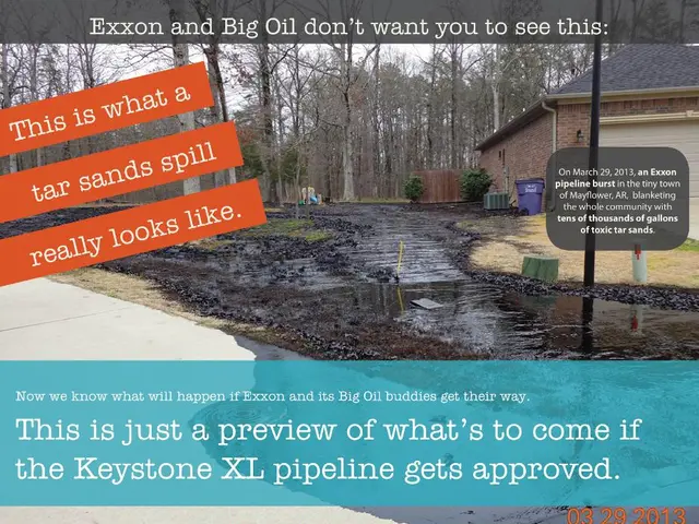 Interview Questions for Alisa Pritchard, Marketing Chief at Greyparrot