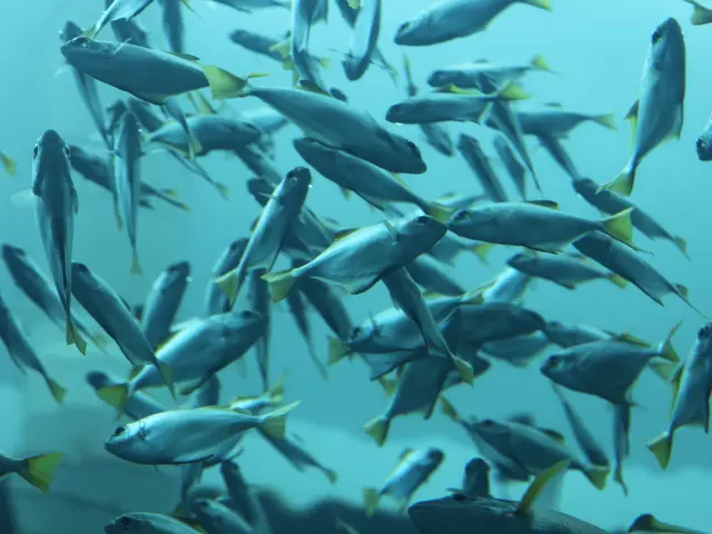 "Fish 'n' Nudge Big Catch leaves the production line by Push Gaming"