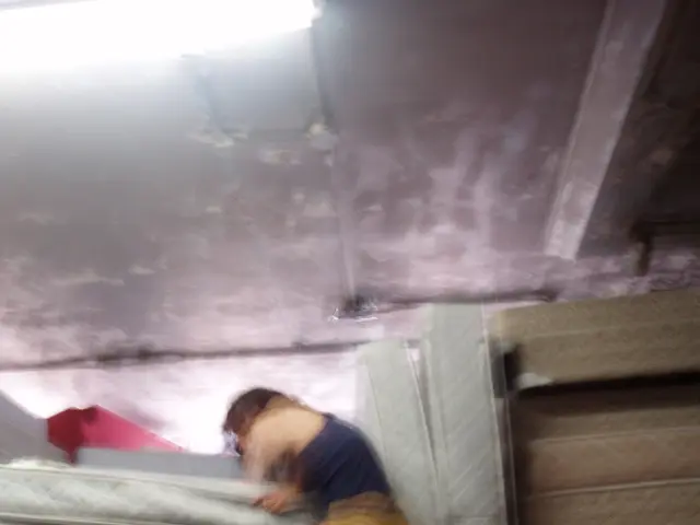 Comparing Posturepedic and Tempur-Pedic Mattresses: Insights and additional info