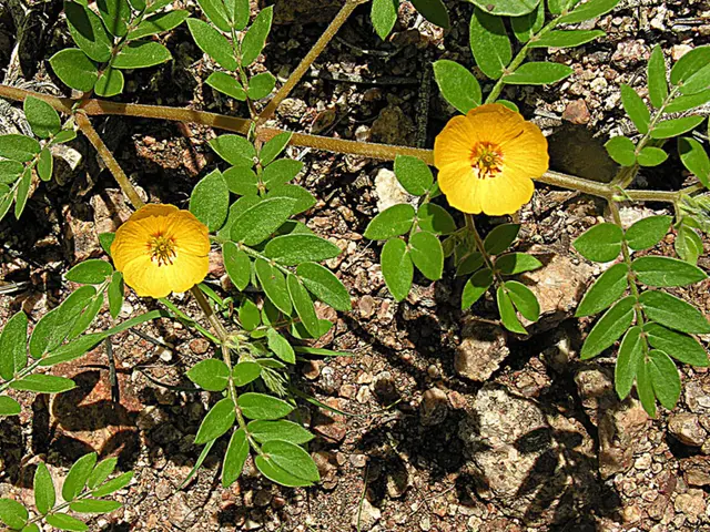 In under 8 minutes, you can fulfill nearly all your Git requirements