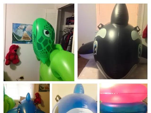 Launching into the Realm of Decentralized Machine Learning Learning, Fast and Easy