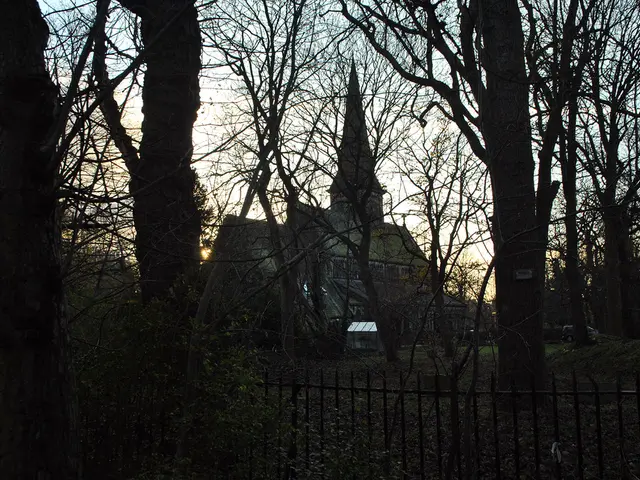 Certification Criteria Unveiled for Manufactured Carbon Reduction Approaches by Gold Standard...