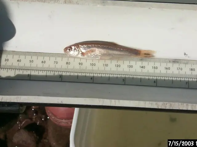 Hindu Yugas' Prodigious Longevity Compared to Contemporary Cosmological Periods