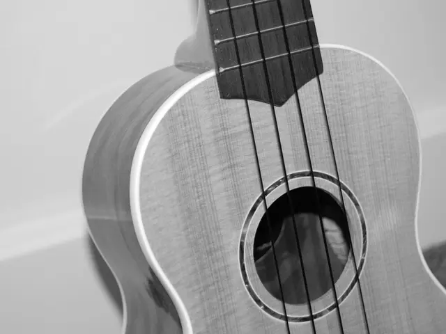 "PRS introduces the SE version of its acclaimed NF 53 guitar, aiming to claim the top spot in...