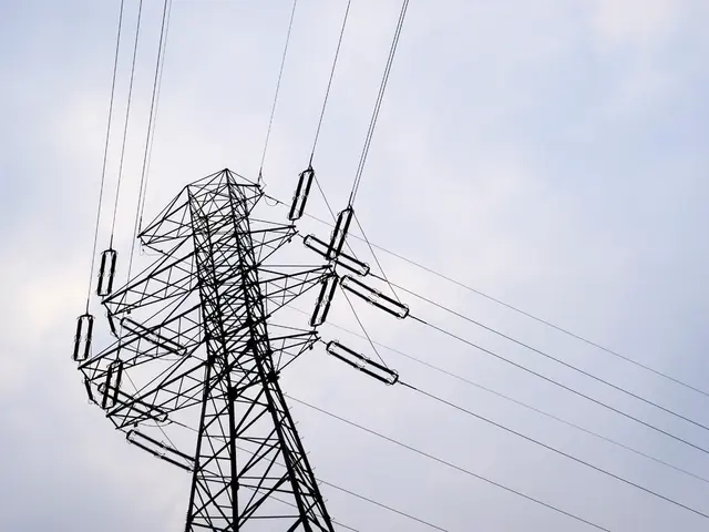 Internet Revolution in Africa: Starlink's Impact on Competition