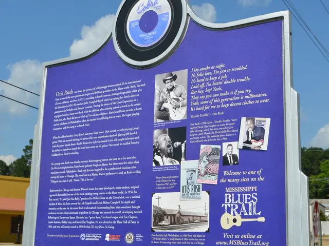 Which flight class - premium economy or economy - best suits your data requirements: A guide on...