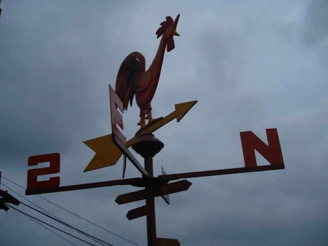 Sky Monitoring: Visions from Above