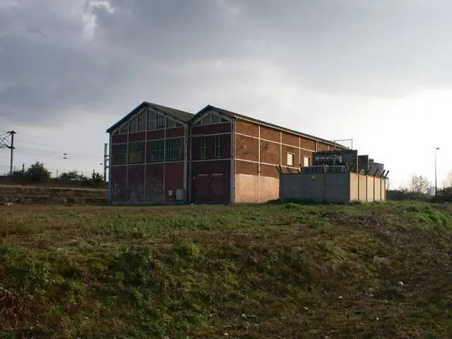 Britain should abandon imported solar panels and start manufacturing its own, according to industry...