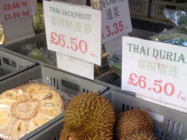 Selecting the Ideal Enterprise Software Development Firm in 2025: A Guide