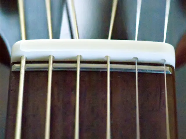 Digital guitars may soon replace traditional stringed ones, according to Ola Strandberg, who...