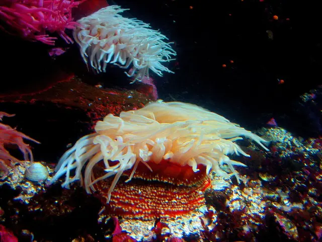 Defense Industry Preparation: Significant Obstacles Impacting the Defense Industrial Sector