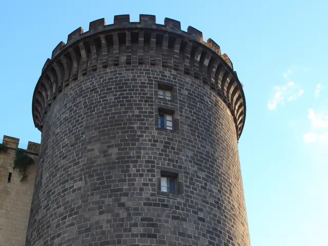 Construction of Steel Structures for Wine Production Facilities and their Long-term Success