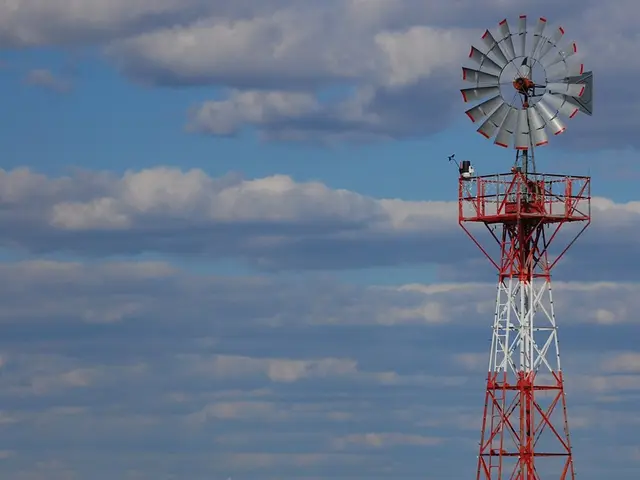 Data Center Shares Surged by 330% over the Past Year