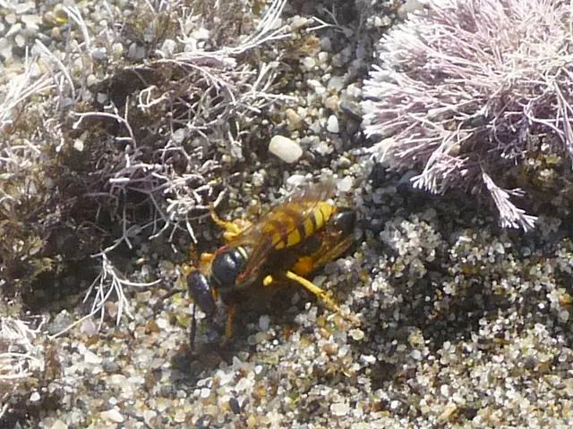 Guidelines for Securely Disabling a Drone: Essential Guidelines for Safety (5 Key Steps)