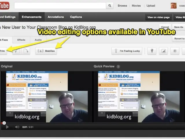 Web surveillance is a crucial, non-negotiable aspect for the success of e-commerce ventures
