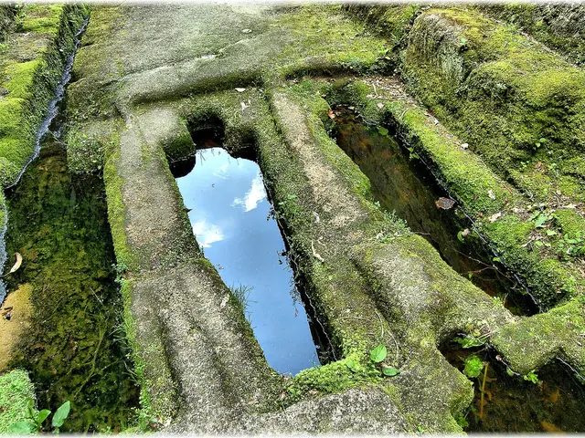 Impact investment fund, Rize ETF, introduces new product - Impact ETF.