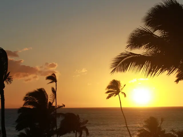 Stunning Images of the Perseids Meteor Shower