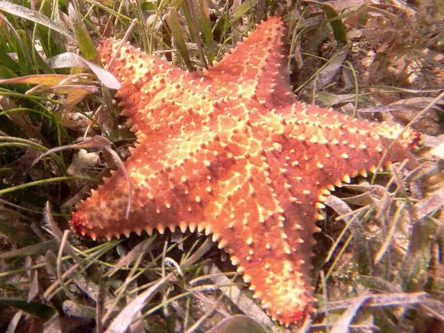 Expansion of the Alien Base DEX on its platform, propelled by a remarkable $11 million TVL achieved...