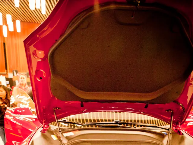 Tesla Fails to Meet Financial Obligations Amidst Elon Musk's $29 Billion Compensation: Critics...