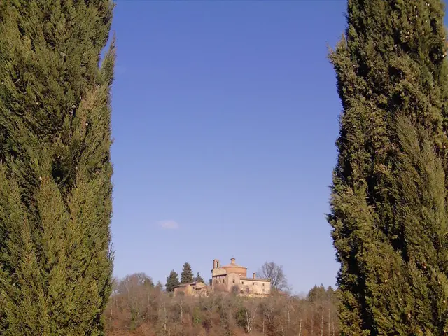 Combination of Pina Earth and Tree.ly