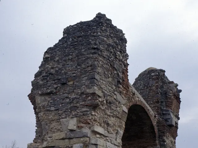 Locating Acorns in Grounded 2: A Guide