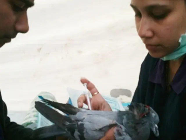 "2025 Presale Sensation: $SNORT, a Notable Cryptocurrency for New Investors, Boasts Trading...