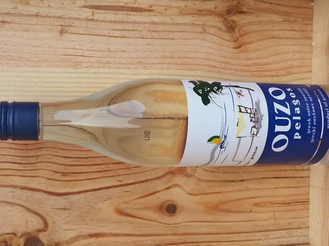 Investing in Flexi Cap Funds: A Wise Decision or Just Salt in the Wound?