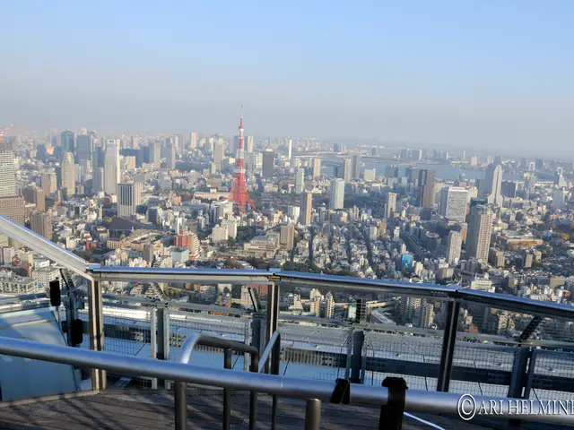 Trump Criticized by New York's Cyber Chief over Budget Cuts' Negative Effects