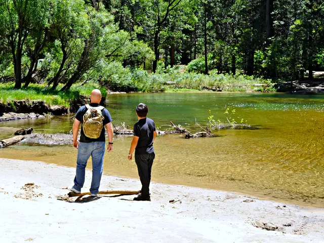 Banks can issue stablecoins without taking responsibility for custody, as detailed by a partner of...