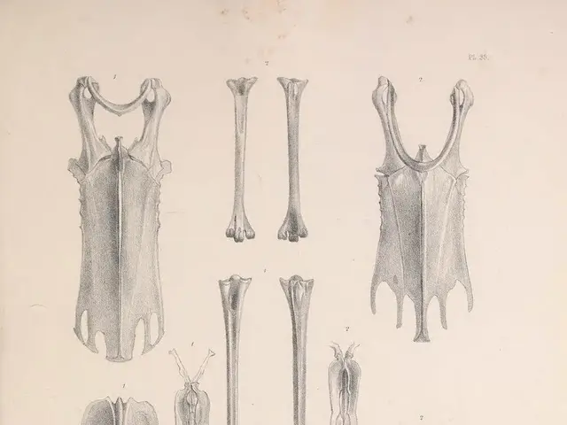 Archaeologists Successfully Reveal the Visages of Two Ancient Sisters who Labored in a Primordial...