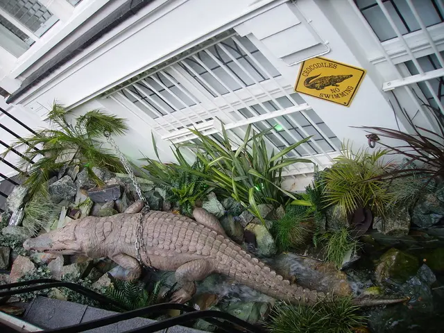 Pay-TV company Canal+ confronted with closure in Ghana due to disagreements with MultiChoice over...