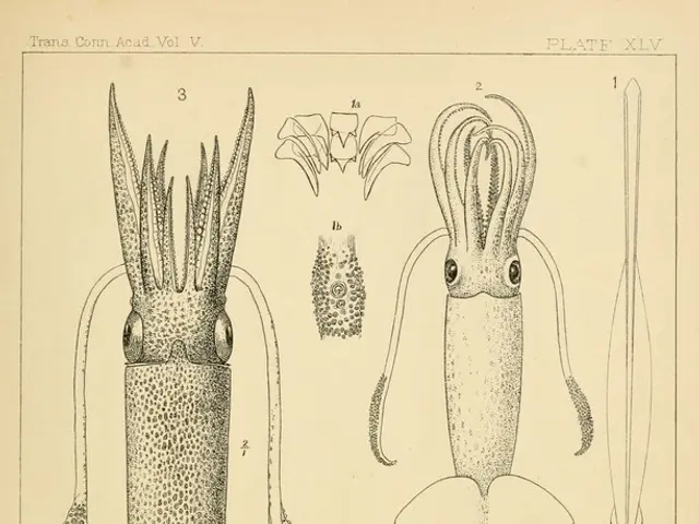 Shocking Discovery: Ancient Fossil, 247 Million Years Old, Shows Unprecedented, Baffling...