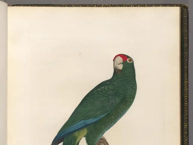 Bible Verse Philippians 4:6 Experiences Peak Sharing in 2024