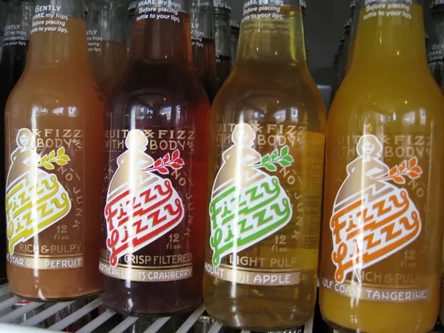 Fundraising Effort of $575 Million Announced by Plaid Following Significant 2024 Achievements