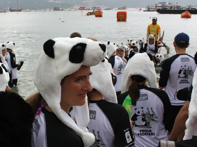 Accelerating Data Analysis with Pandas and Python: A Necessity Examined