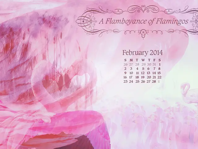 Google's updated, expressive design for Google Calendar under Material 3 begins to be released